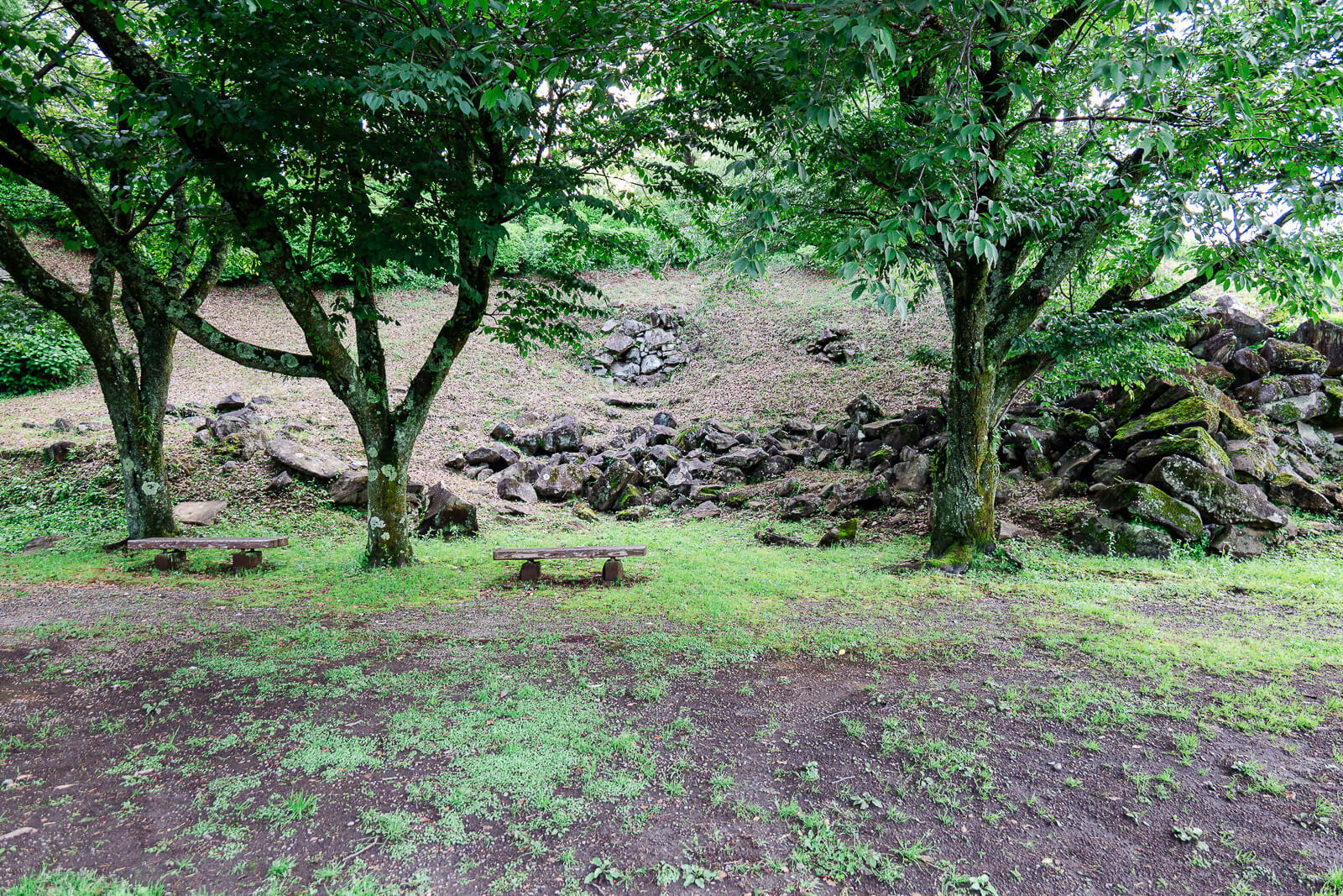 Tree-lined clearing at Ishigakiyama Castle Ruins in Odawara