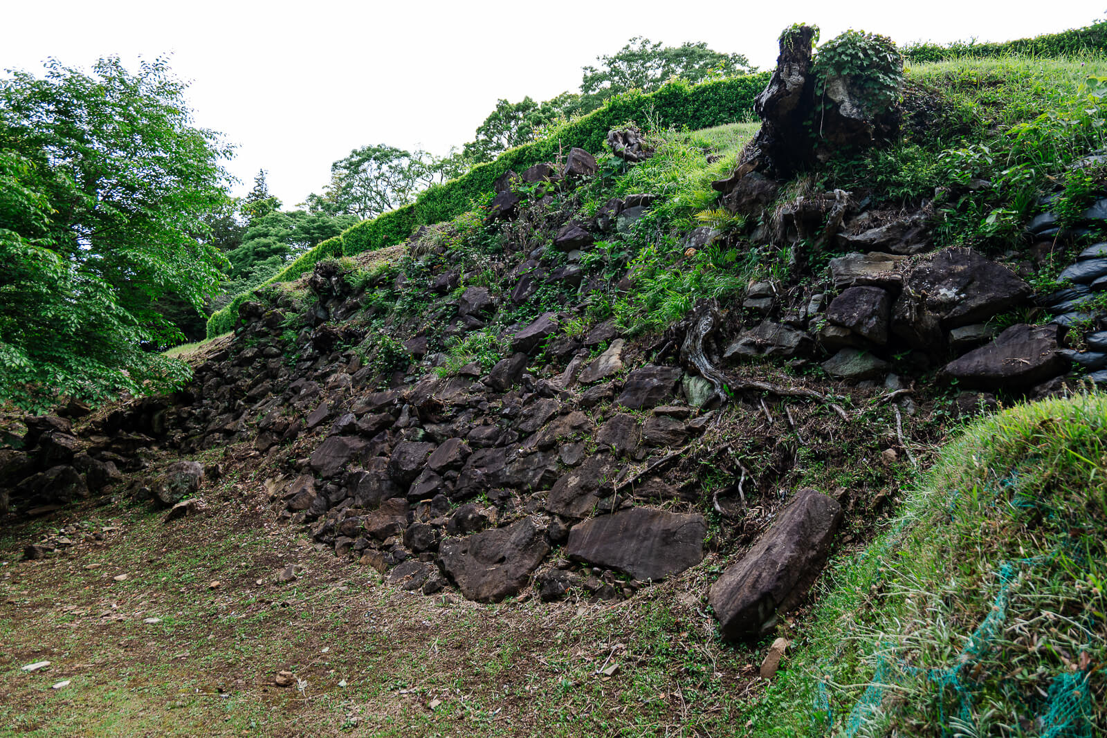 Steep stone wall remains and hillside terrain at Ishigakiyama Castle Ruins in Odawara