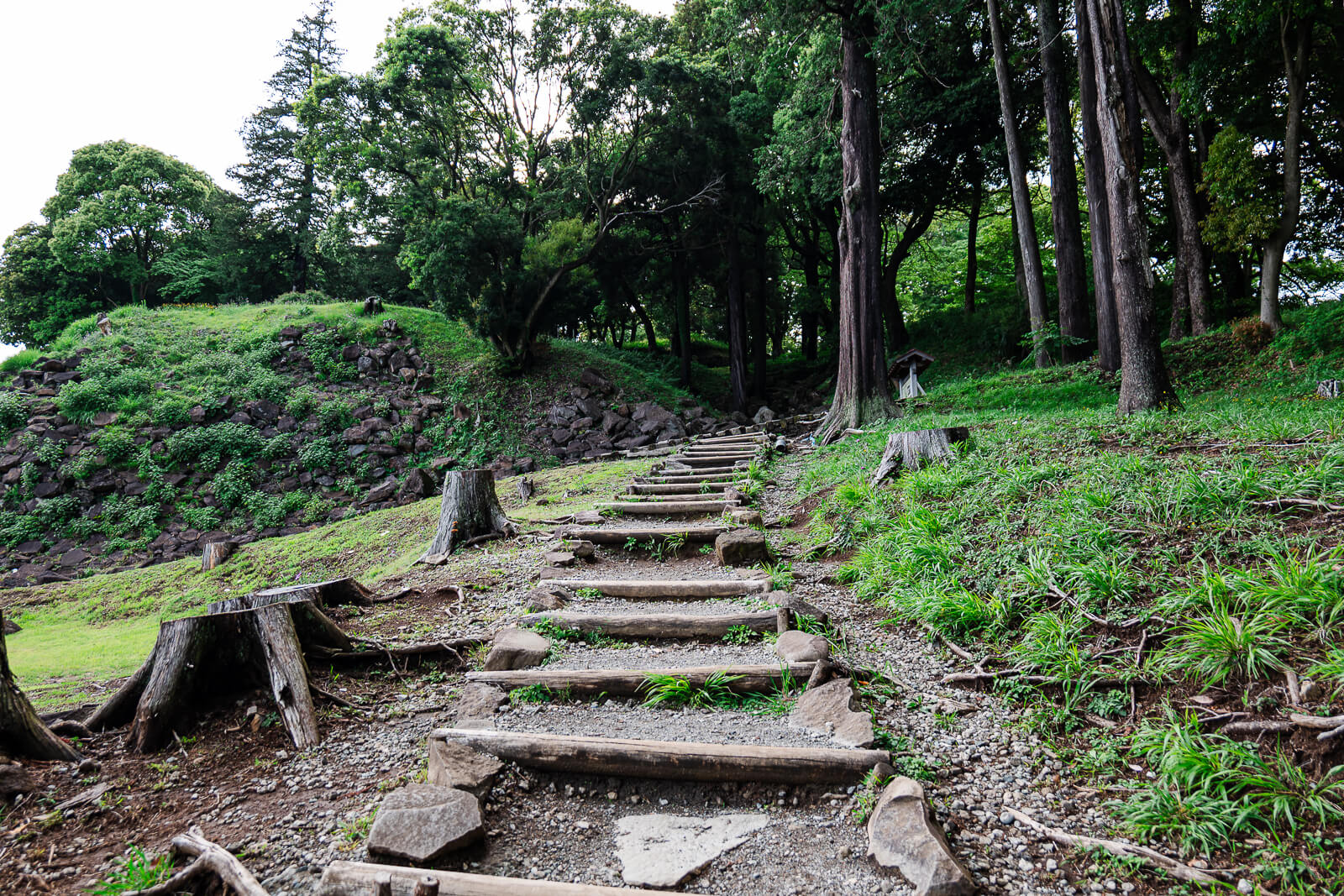 Stone steps leading through the wooded grounds of Ishigakiyama Castle Ruins in Odawara