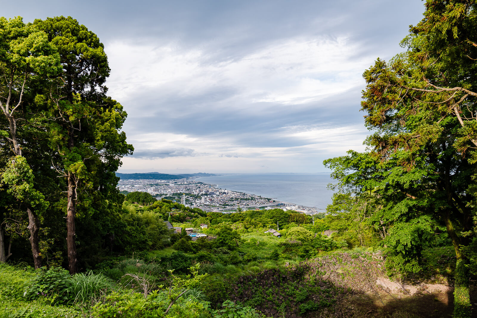 View of Odawara city and Sagami Bay framed by trees from Ishigakiyama Castle Ruins