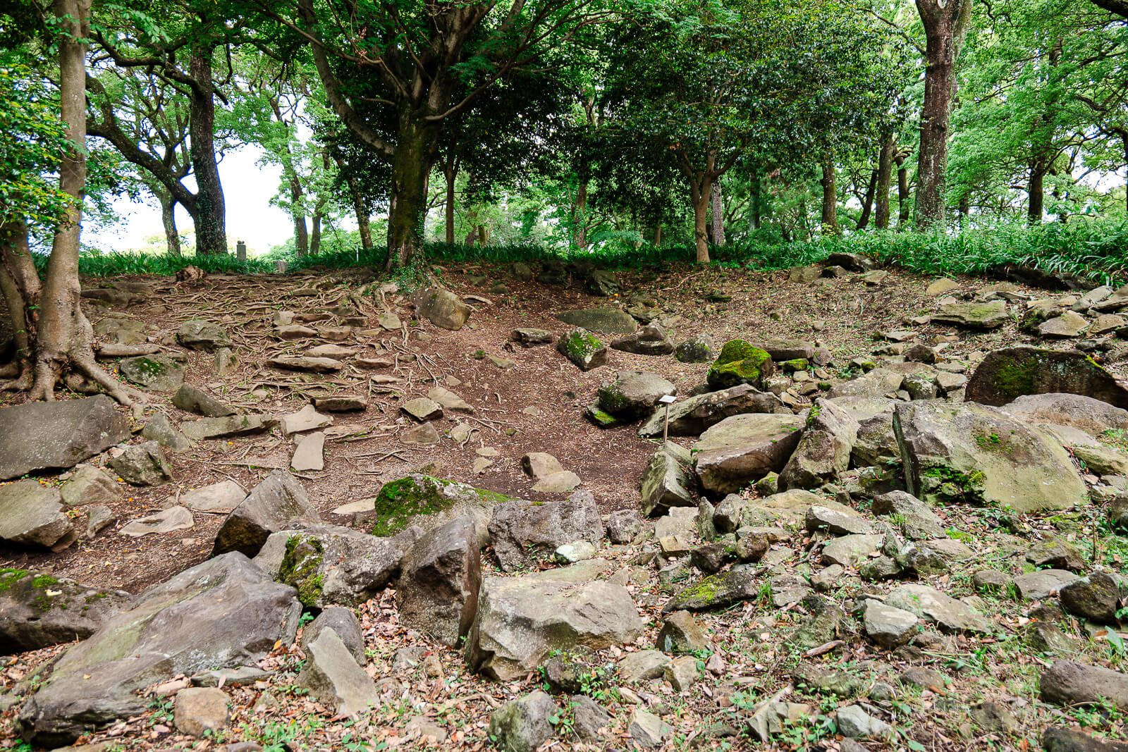 Scattered stone wall remains at Ishigakiyama Castle Ruins in Odawara