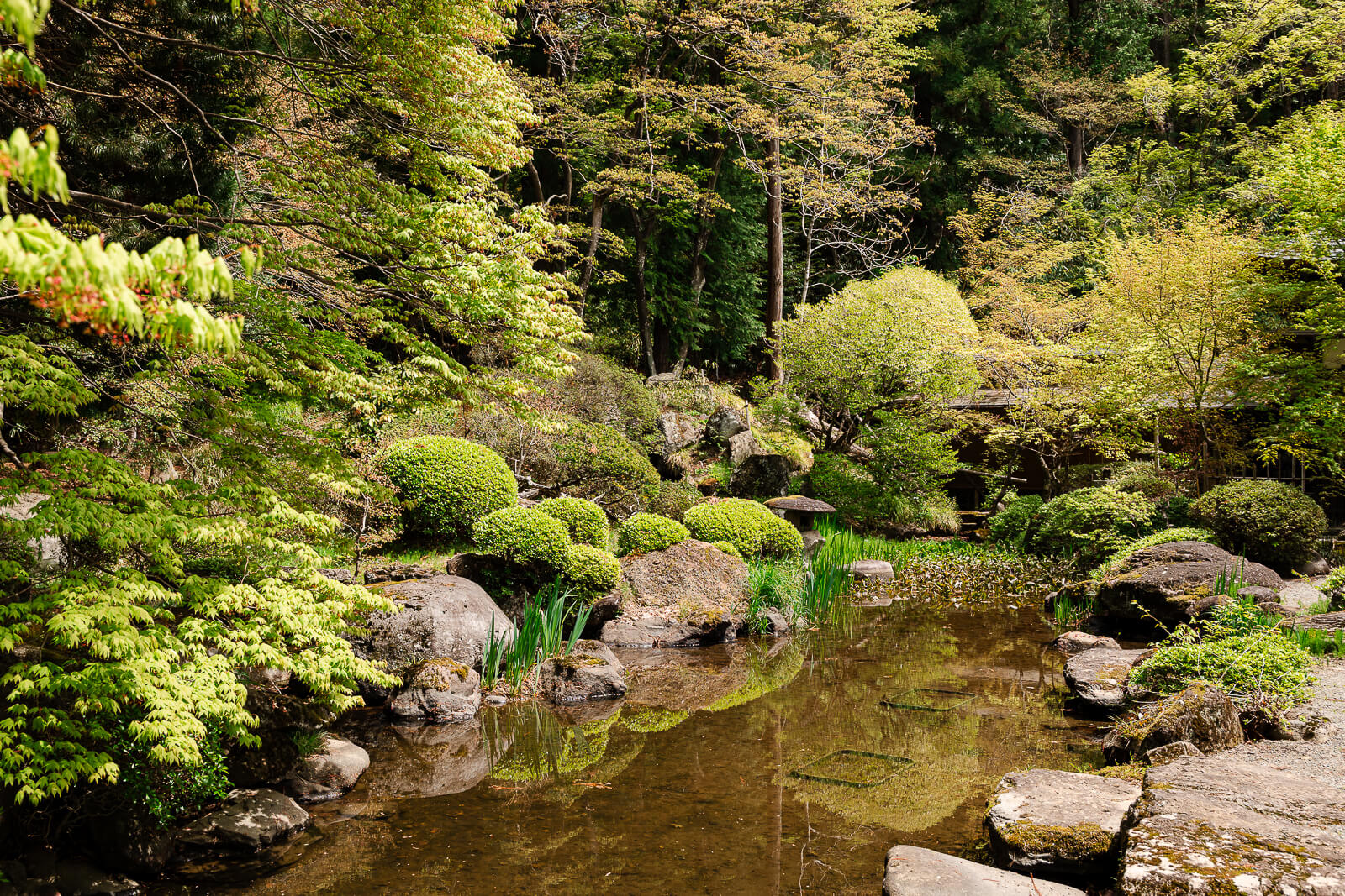 Pond garden with stones and greenery at Jiunji Temple in Shimosuwa
