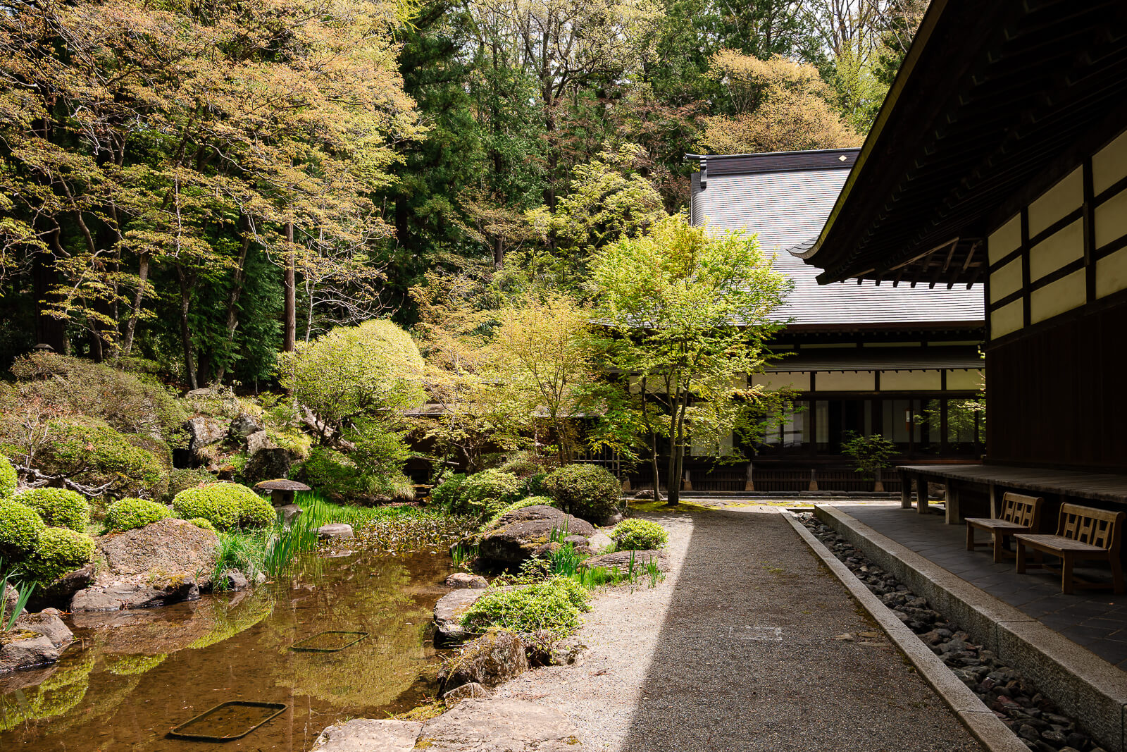 Pond garden beside temple buildings at Jiunji Temple in Shimosuwa