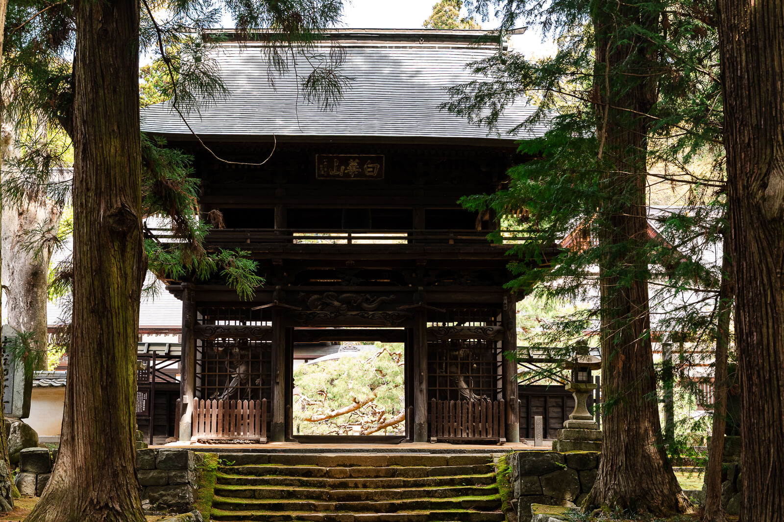 Sanmon gate seen through cedar trees at Jiunji Temple in Shimosuwa
