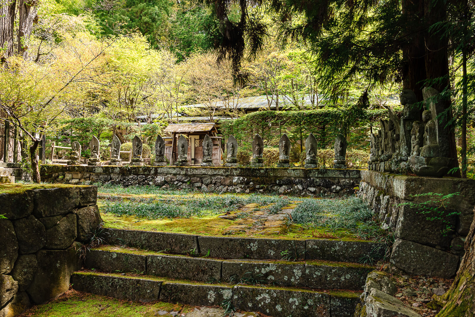 Moss-covered stone steps and garden wall at Jiunji Temple in Shimosuwa