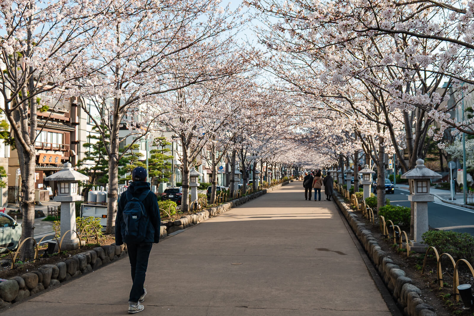 Pedestrians walking along the Dankazura path in Kamakura