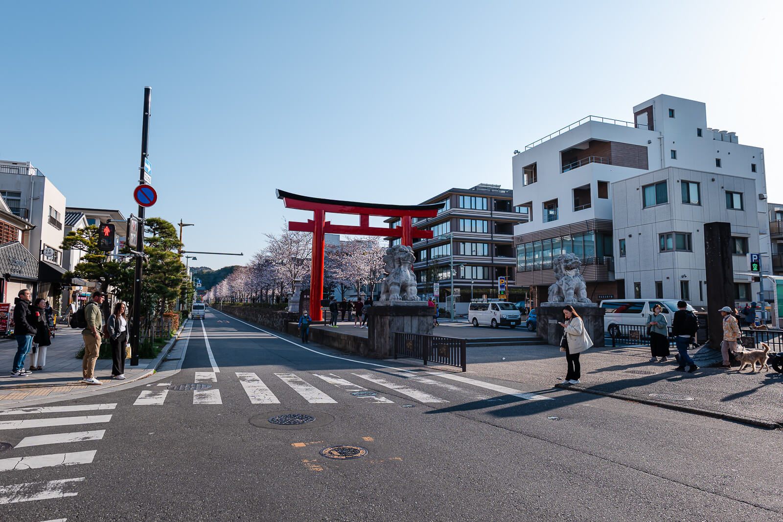 Torii gate and Wakamiya Oji avenue in Kamakura