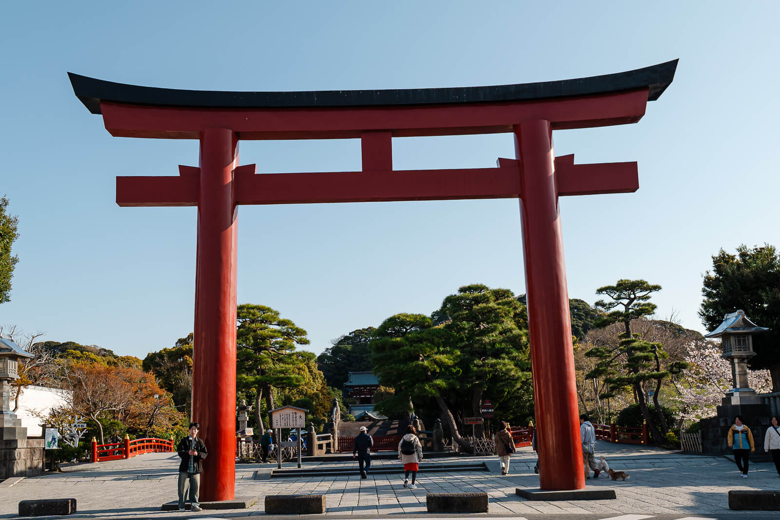 Torii gate at the entrance to Tsurugaoka Hachimangu in Kamakura