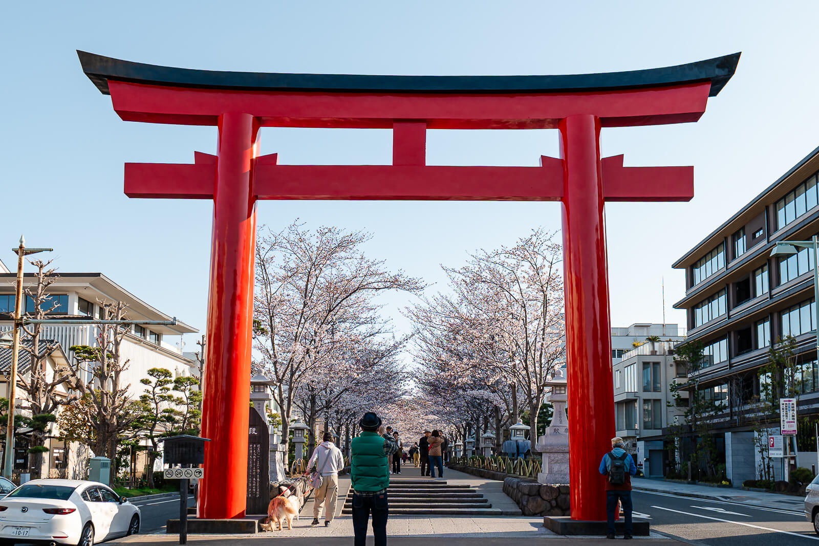 The shrine approach forms Kamakura’s historic north–south axis.