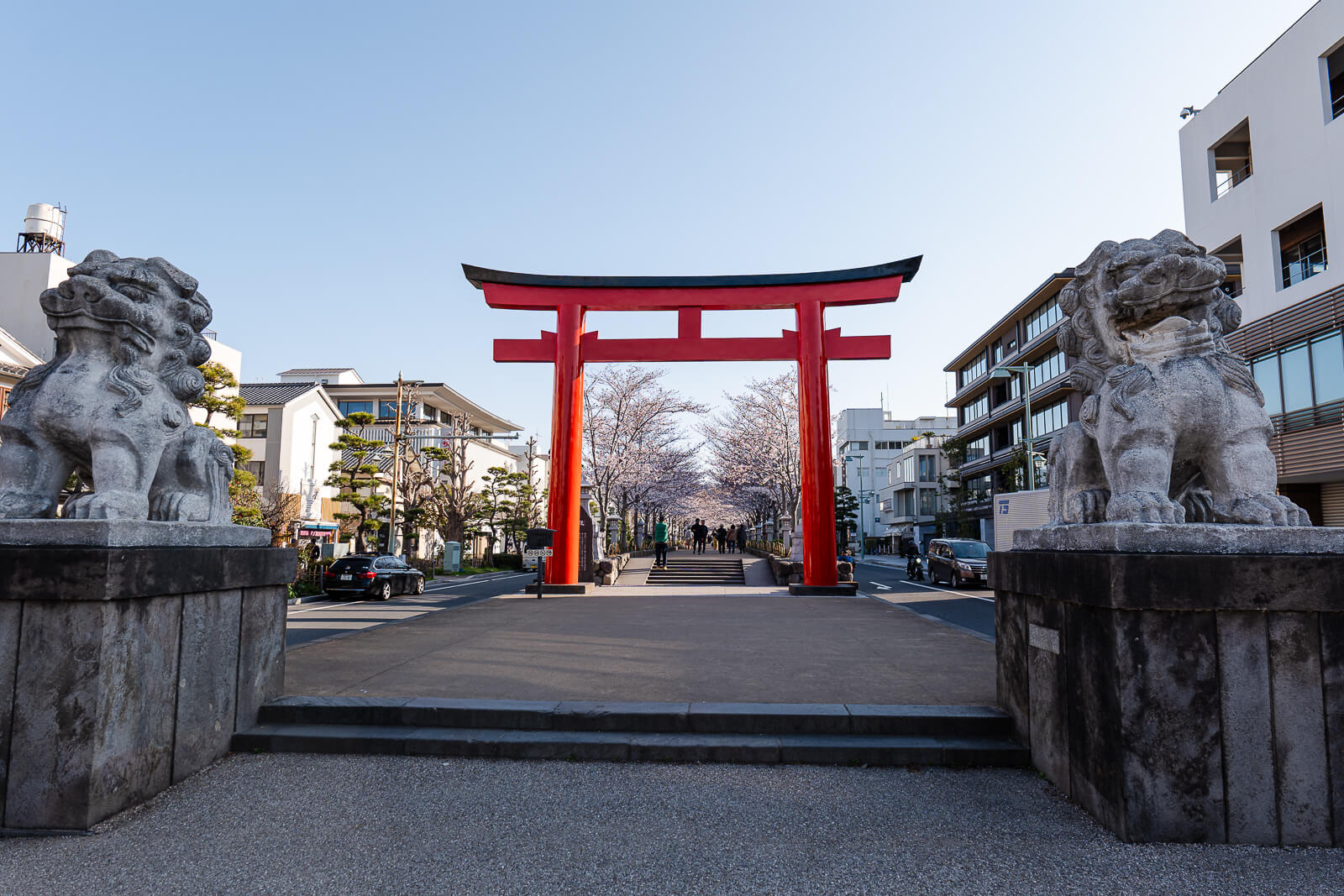 Stone guardians and torii gate along the approach to Tsurugaoka Hachimangu