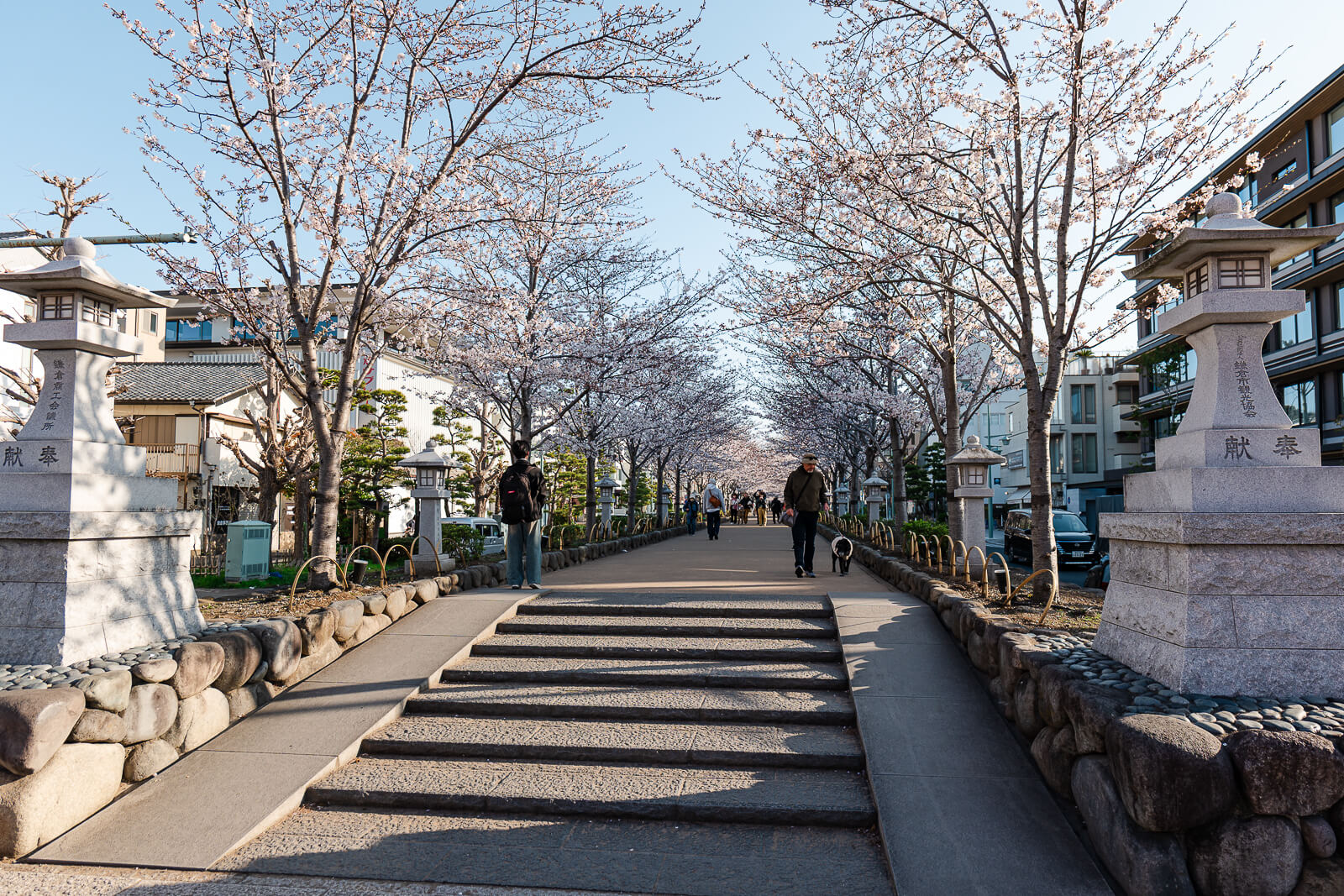 The shrine approach forms Kamakura’s historic north–south axis.