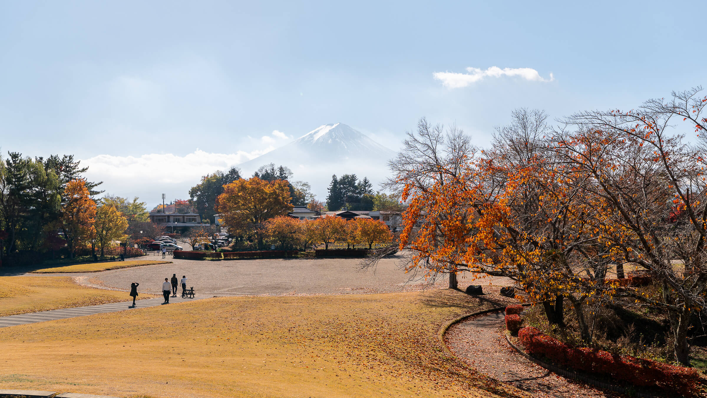 Mount Fuji rising above autumn trees and open lawns at Yagizaki Park beside Lake Kawaguchi.