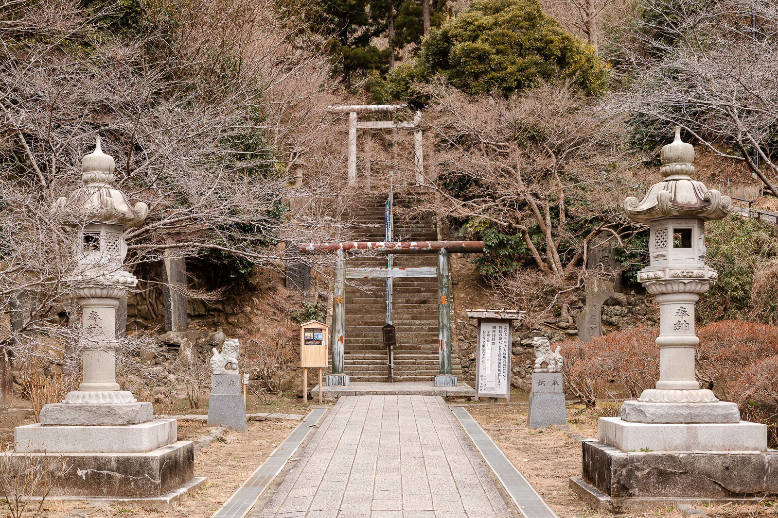 Stone lanterns lining the wooded approach to Hansobo Shrine at Kencho-ji Temple
