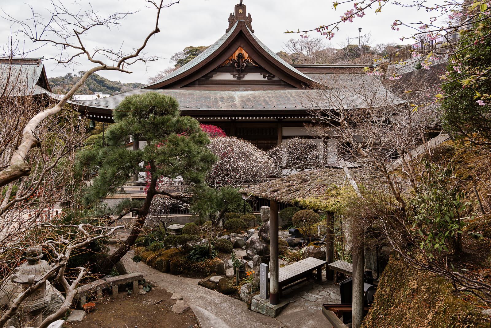 Myoko-in temple buildings surrounded by trees inside the Kencho-ji complex