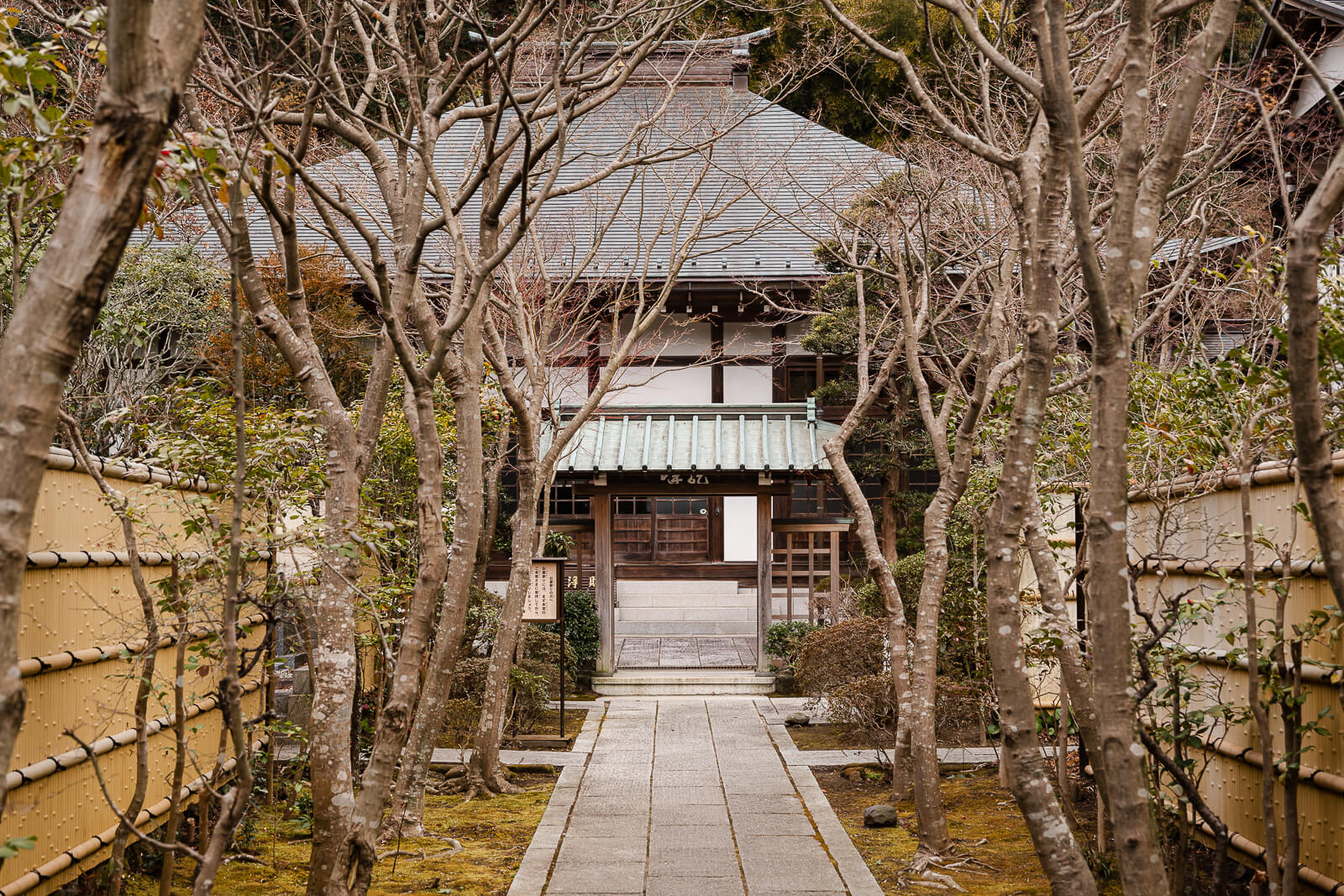 Tree-lined approach and temple gate at Ryuho-in inside the Kencho-ji complex