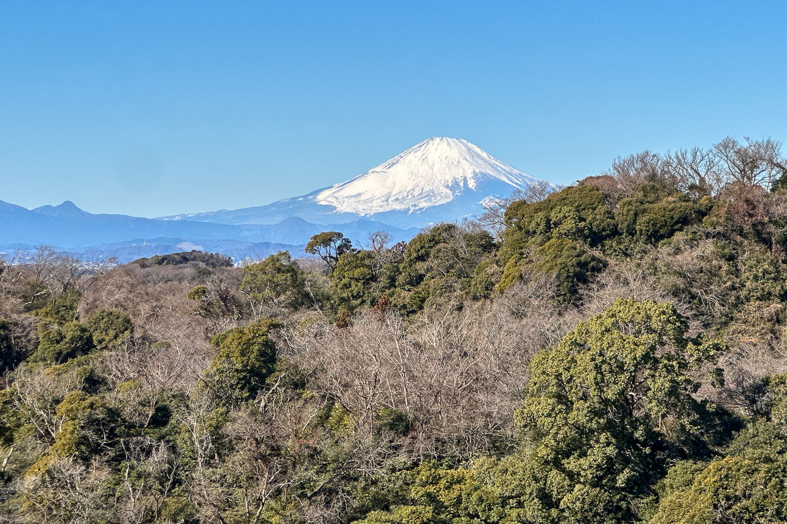 Mount Fuji rising beyond wooded hills from an observation deck above Kencho-ji Temple