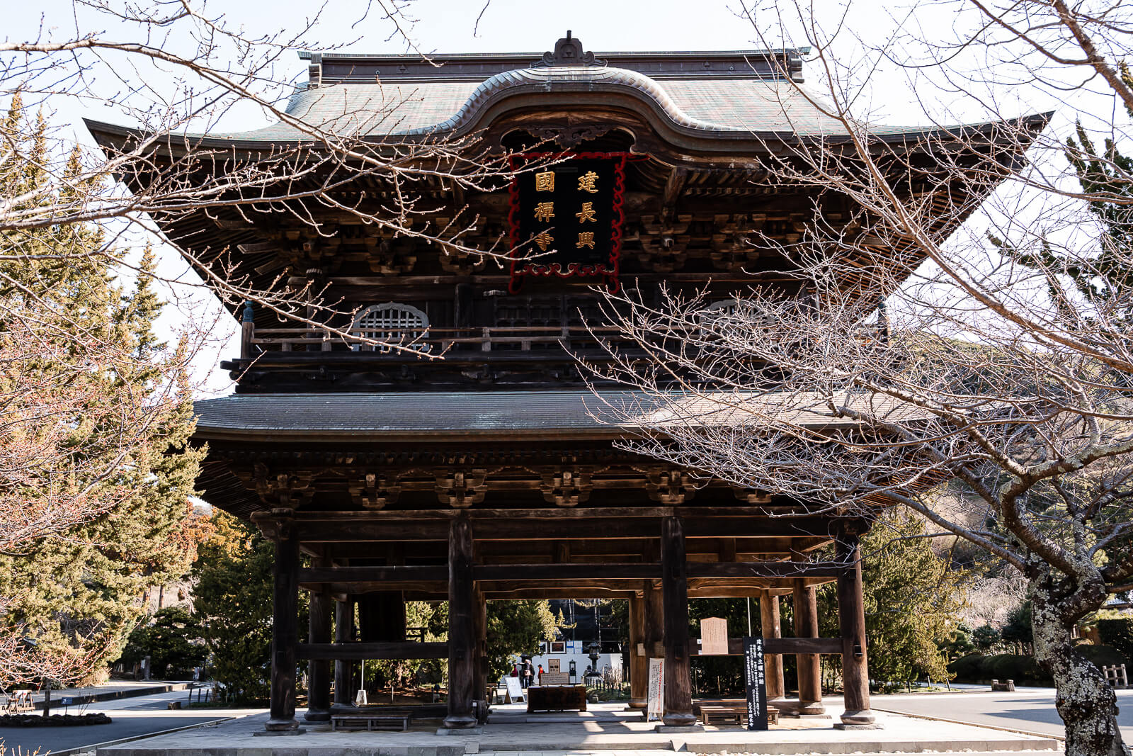 Sanmon Gate framed by bare winter branches at Kencho-ji Temple in Kamakura
