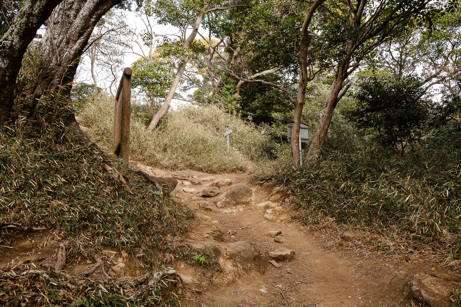 Dirt hiking path entering the wooded Ten-en Hiking Course above Kencho-ji Temple