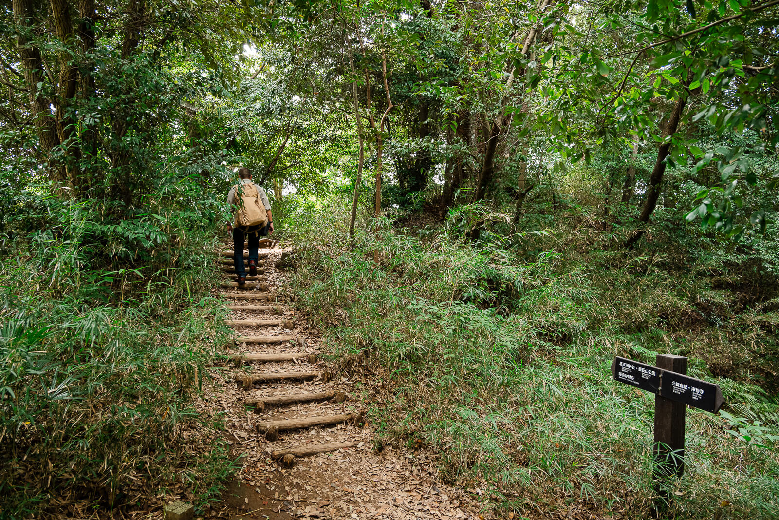 Hiker walking along a stepped section of the Daibutsu Hiking Course