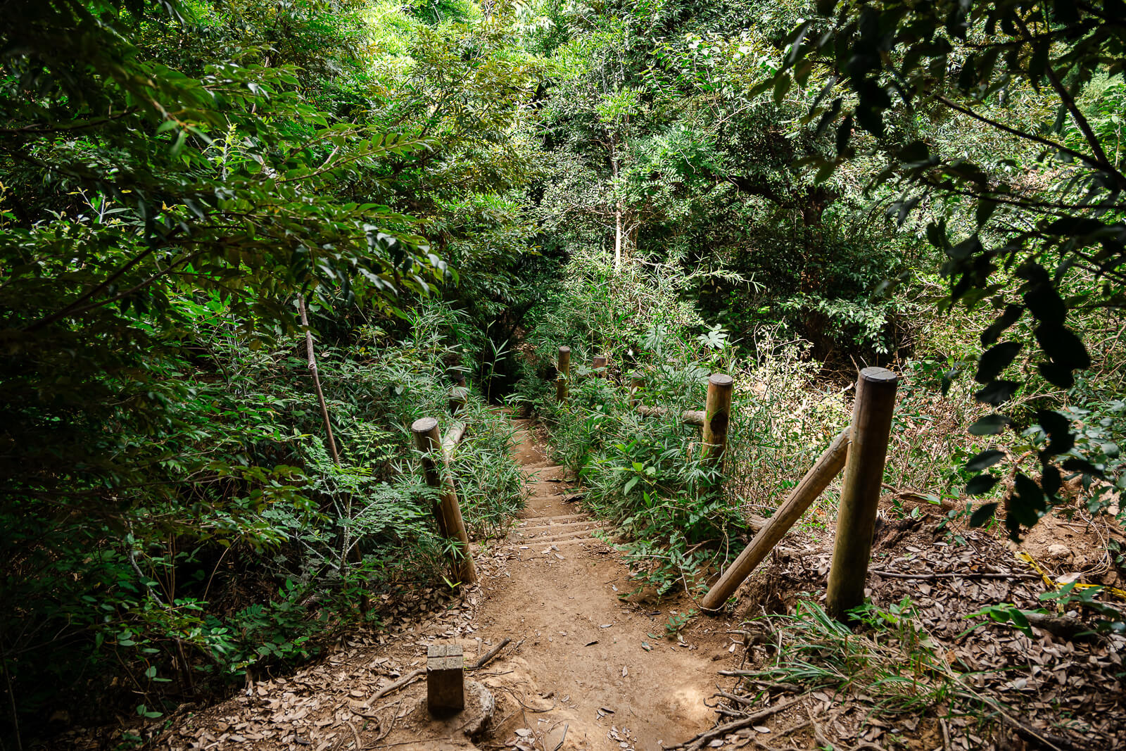 Narrow dirt trail and handrail on the Daibutsu Hiking Course in Kamakura