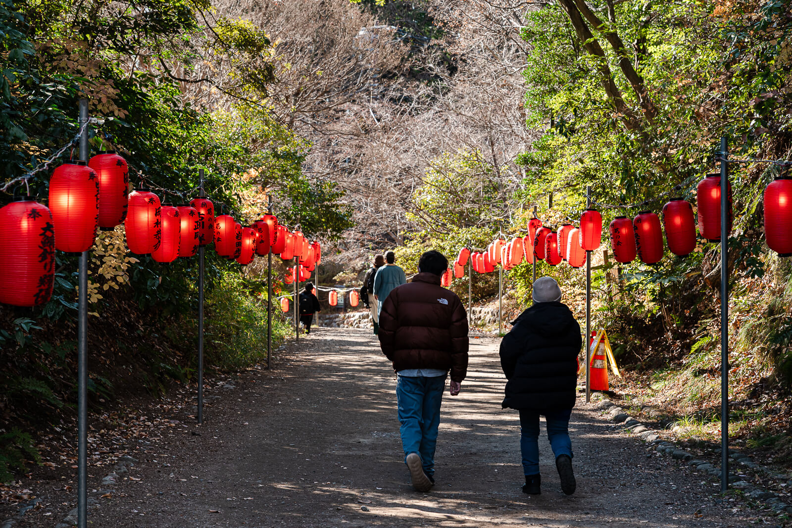 Red lanterns lining the Daibutsu Hiking Course near Kuzuharaoka Shrine in Kamakura