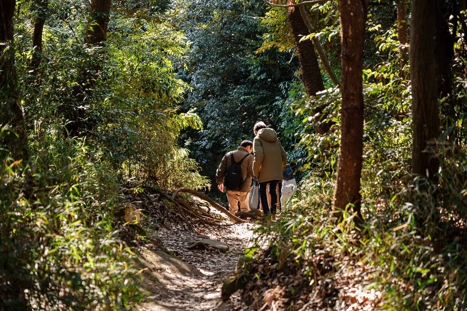Hikers walking through a sunlit section of the Daibutsu Hiking Course in winter