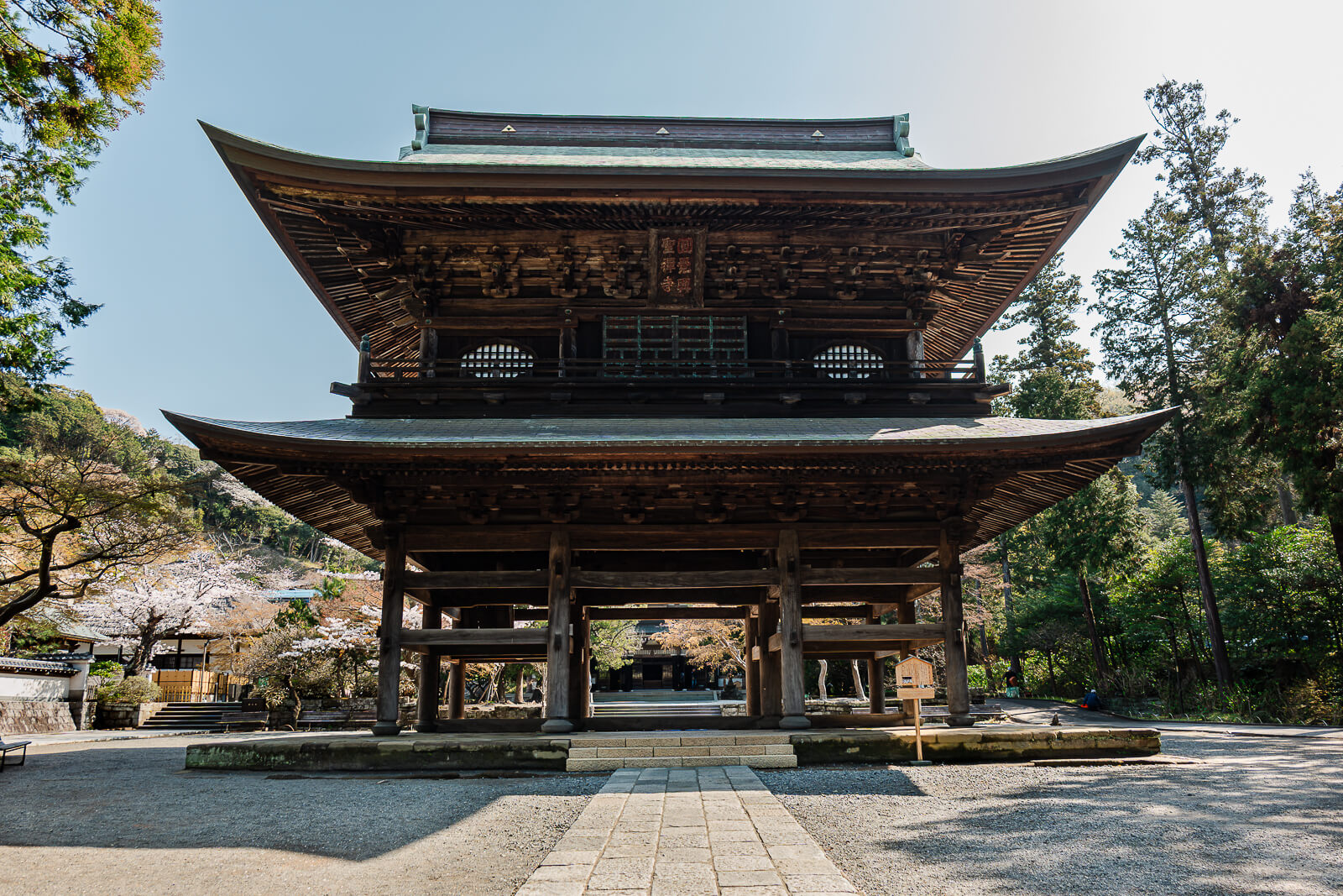 Engaku-ji Temple’s wooden Sanmon Gate framed by spring cherry blossoms in Kita-Kamakura