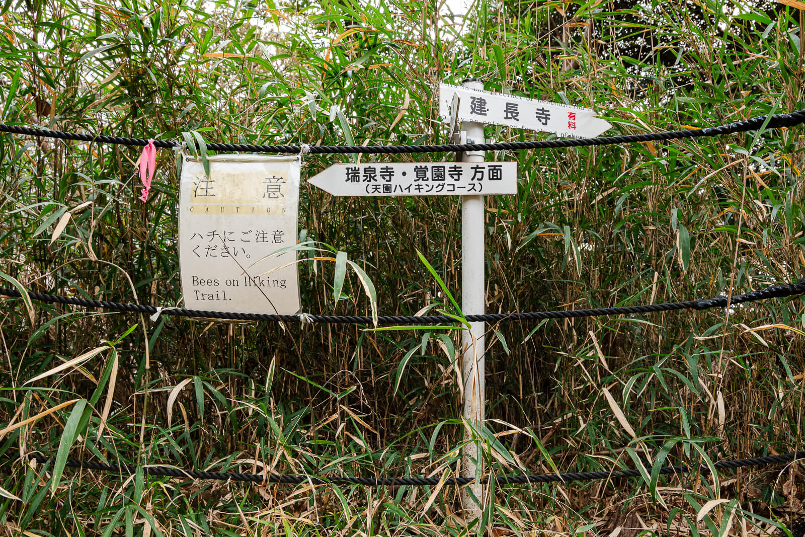 Directional signs marking the start of the Ten-en Hiking Course above Hansōbō in Kamakura