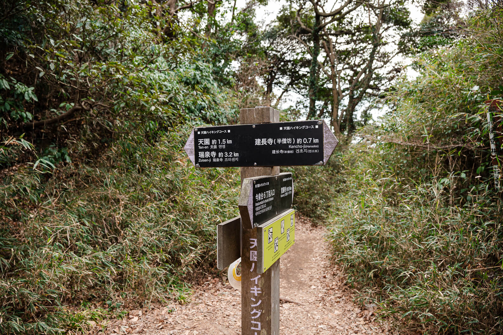 Directional sign at a wooded junction along the Ten-en Hiking Course