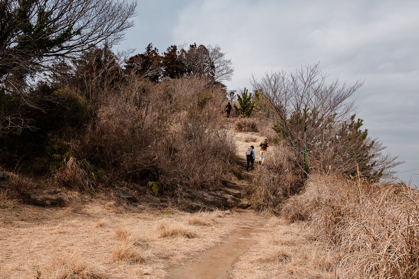 Hikers crossing an open grassy section of the Ten-en Hiking Course in winter