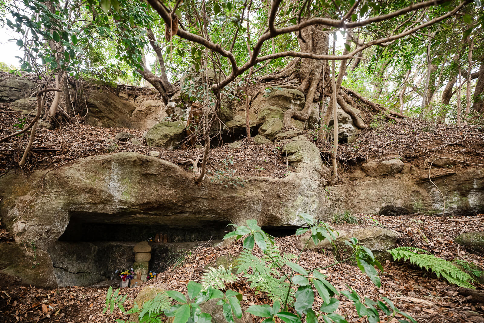 Multiple rock-cut burial caves extending across the Hyakuhachi Yagura hillside