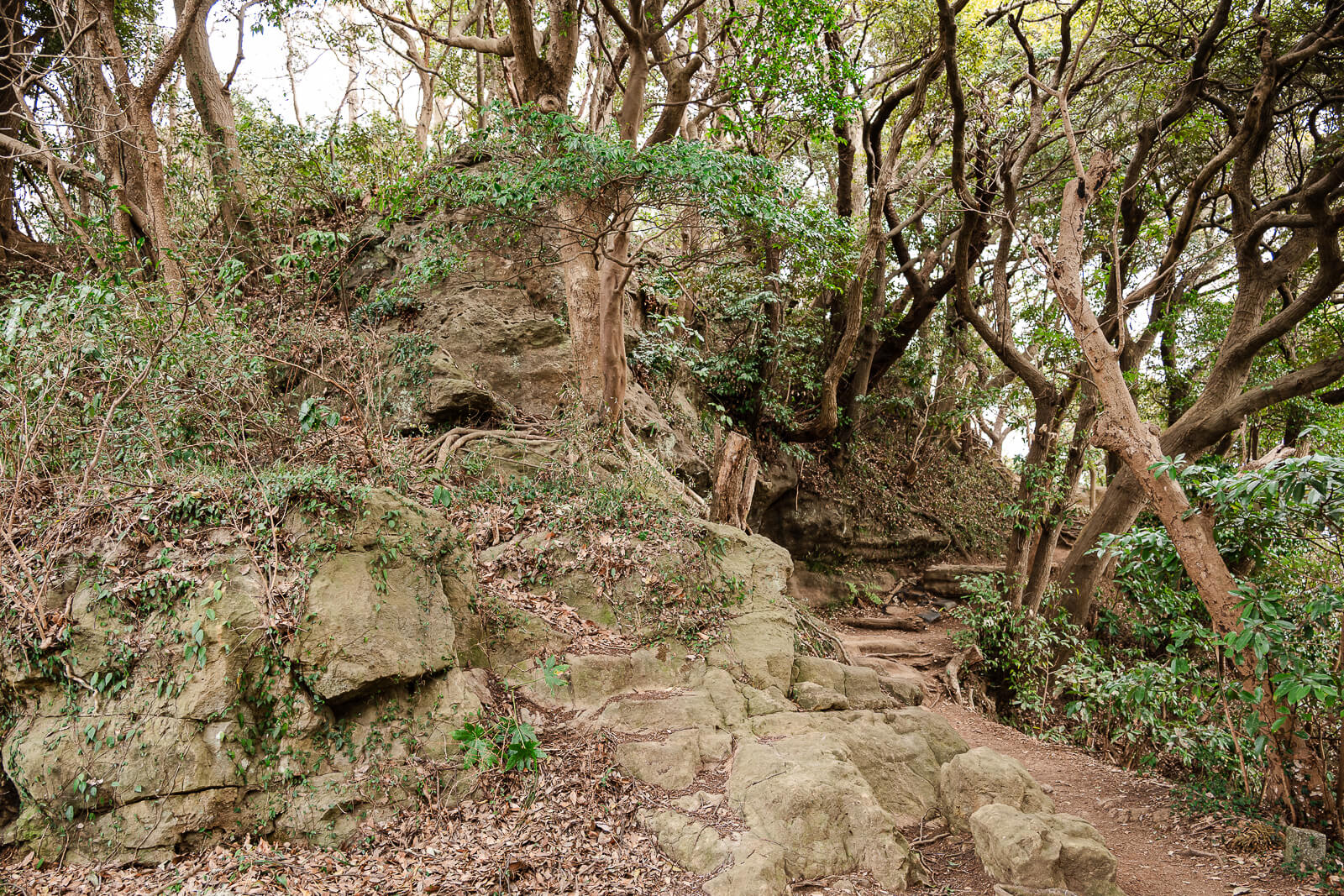 Weathered rock forming a steep section of the Ten-en Hiking Course in Kamakura