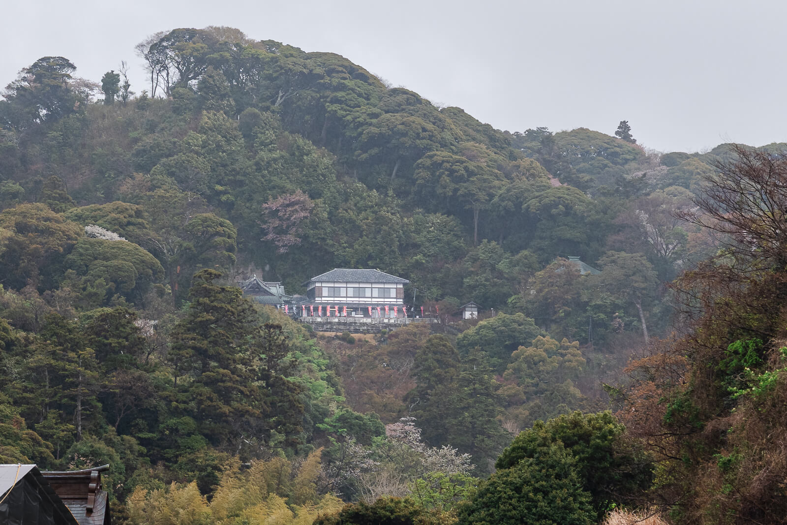 Hansōbō visible on the wooded hillside above the main Kenchō-ji temple grounds in Kamakura