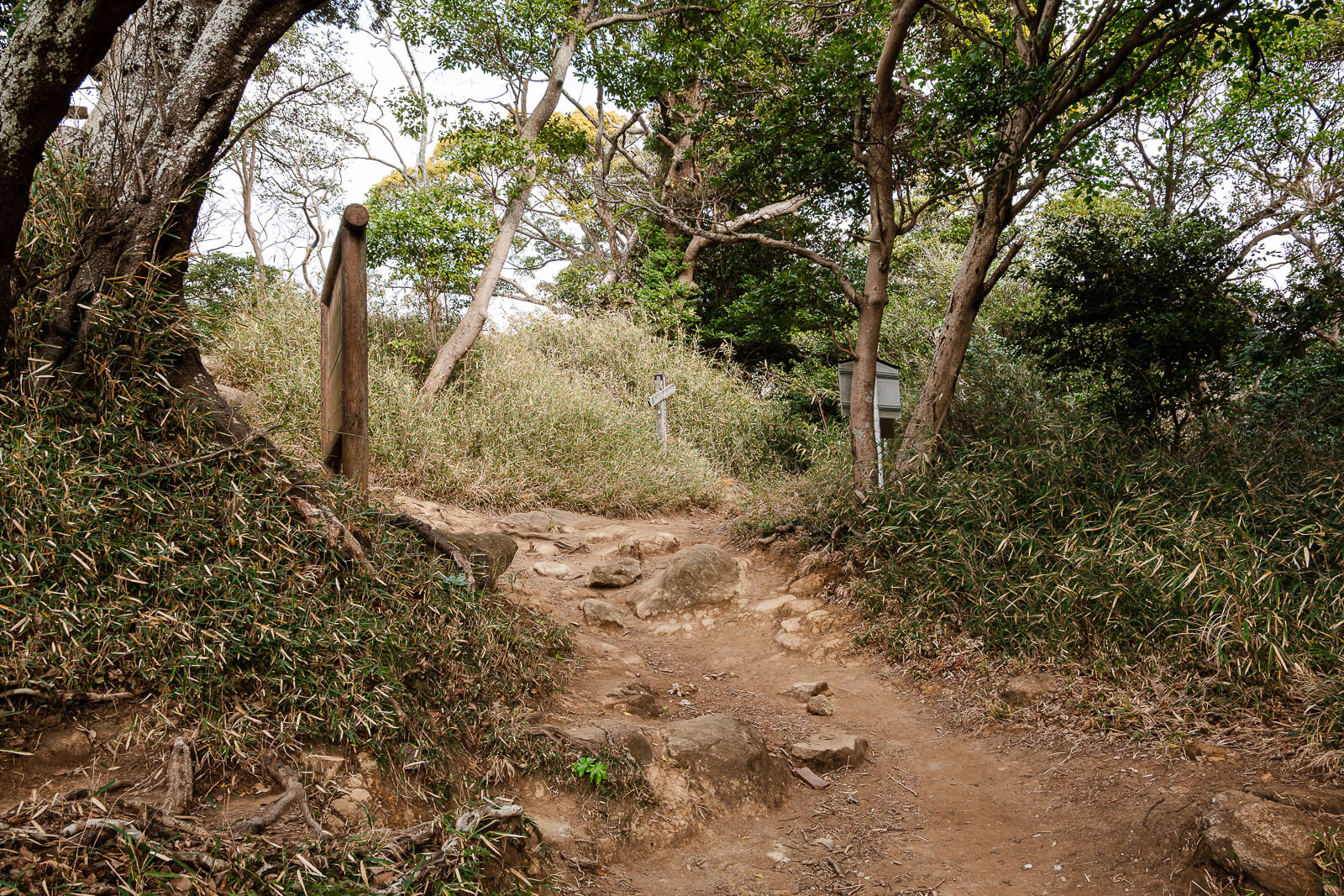 Unpaved Ten-en Hiking Course entering the winter woodland above Kenchō-ji in Kamakura