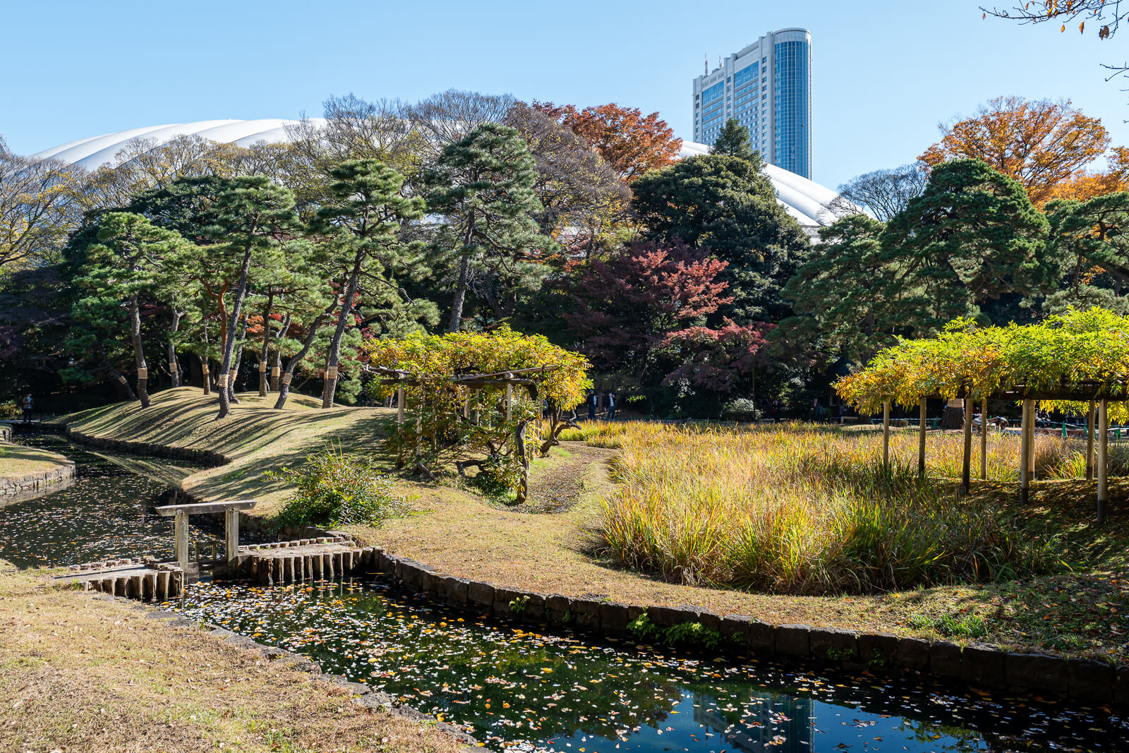 A garden path curves past pines and autumn trees at Koishikawa Korakuen, with city buildings rising behind the greenery.