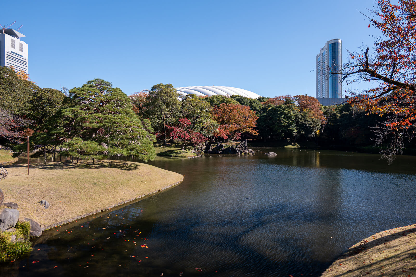 The broad pond at Koishikawa Korakuen reflects mixed autumn trees, with Tokyo Dome and city buildings visible beyond the garden.