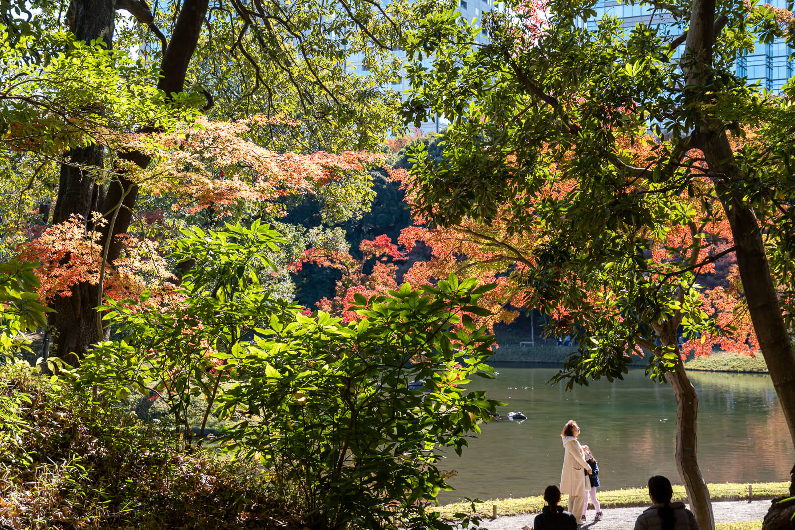 Red maple leaves and green branches frame a view toward the pond at Koishikawa Korakuen on a bright autumn day.