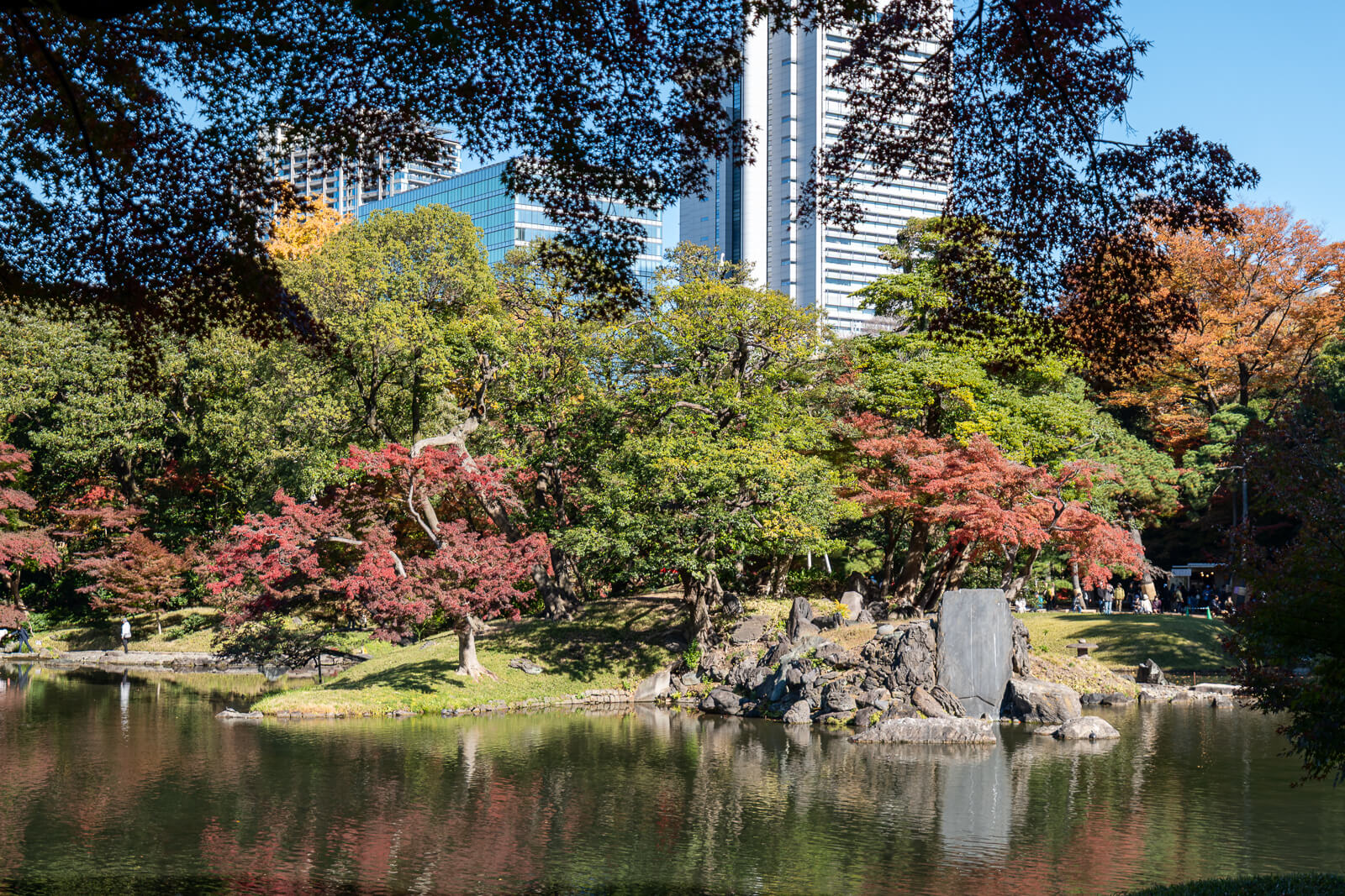 Autumn foliage at Koishikawa Korakuen frames tall buildings beyond the garden, showing the contrast between trees and central Tokyo.