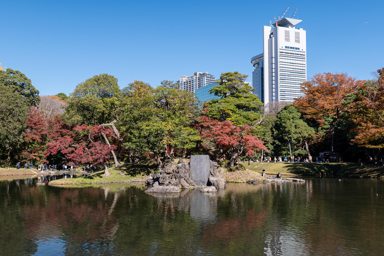Koishikawa Korakuen’s pond lies below autumn trees and the Tokyo skyline, with red maples and green pines across the water.