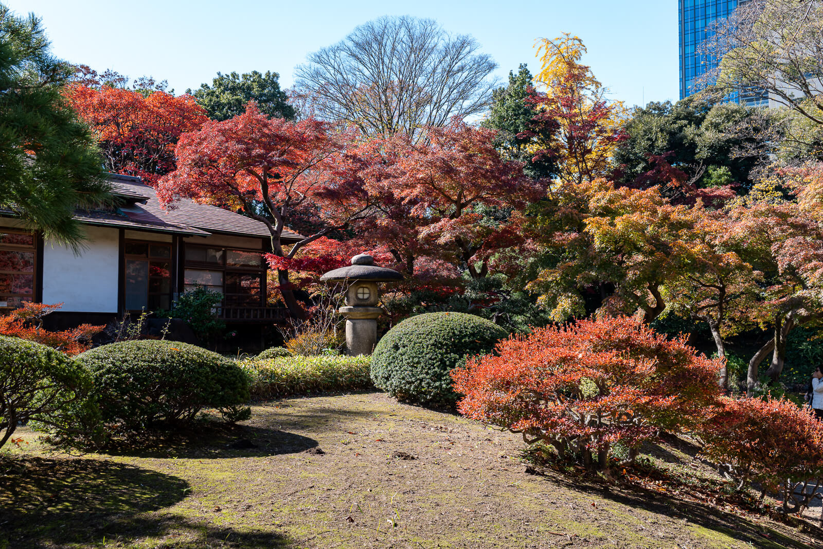 Red and orange maple trees brighten a garden path at Koishikawa Korakuen, with layered foliage and open space nearby.