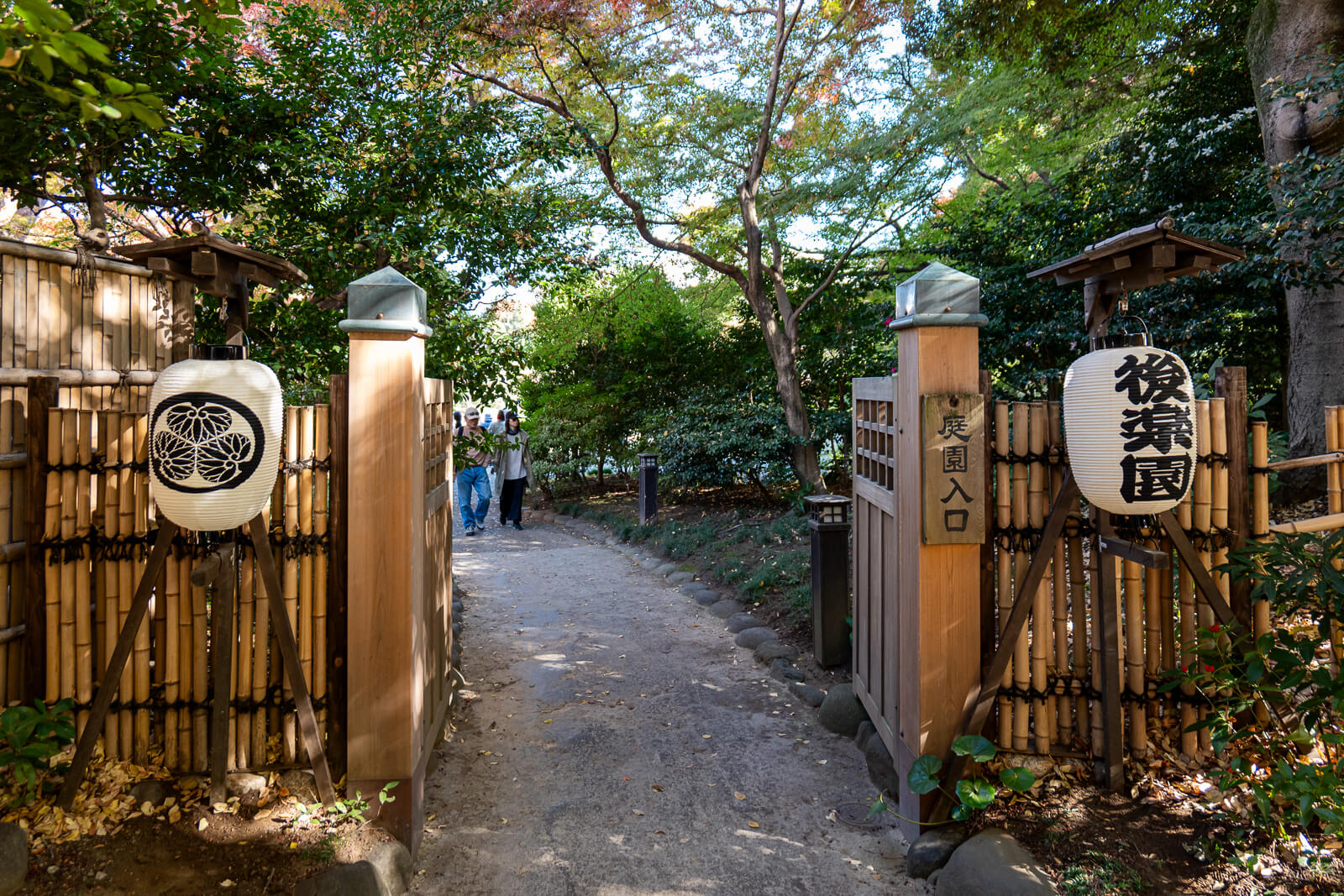 The entrance gate to Koishikawa Korakuen frames a tree-lined path, where visitors begin exploring the garden’s autumn landscape.