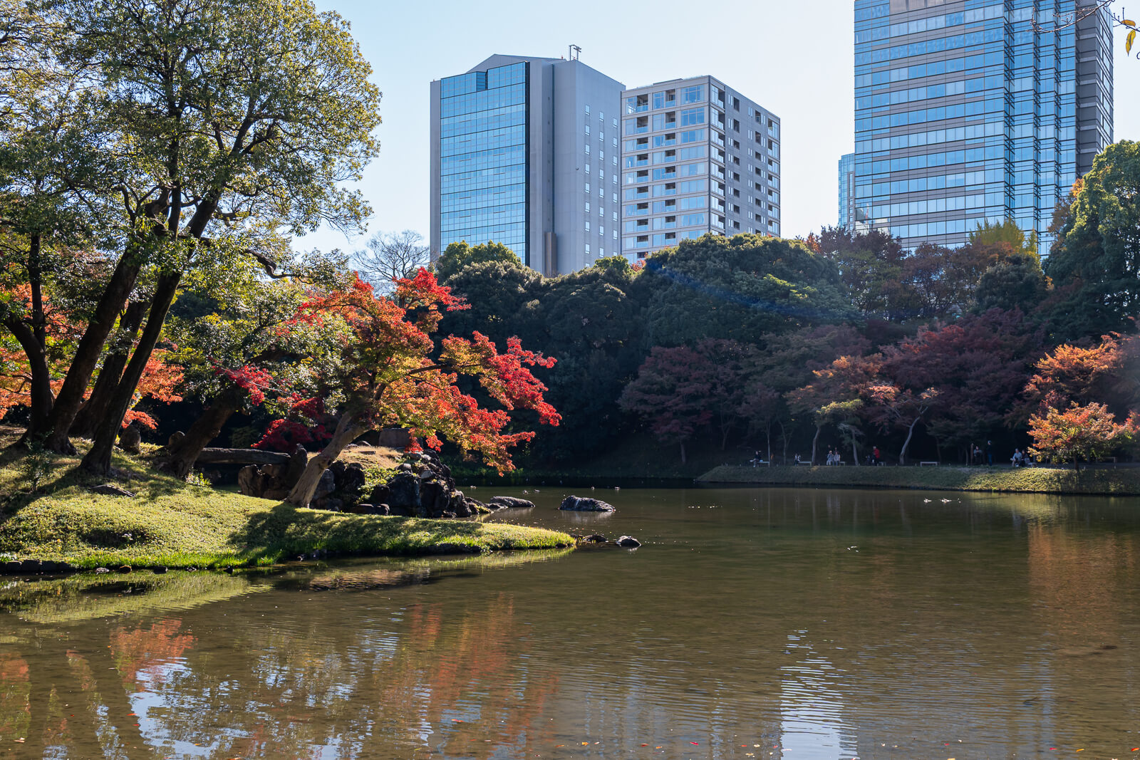 Red maple leaves border Koishikawa Korakuen’s pond, while modern buildings rise beyond the autumn garden under a clear Tokyo sky.