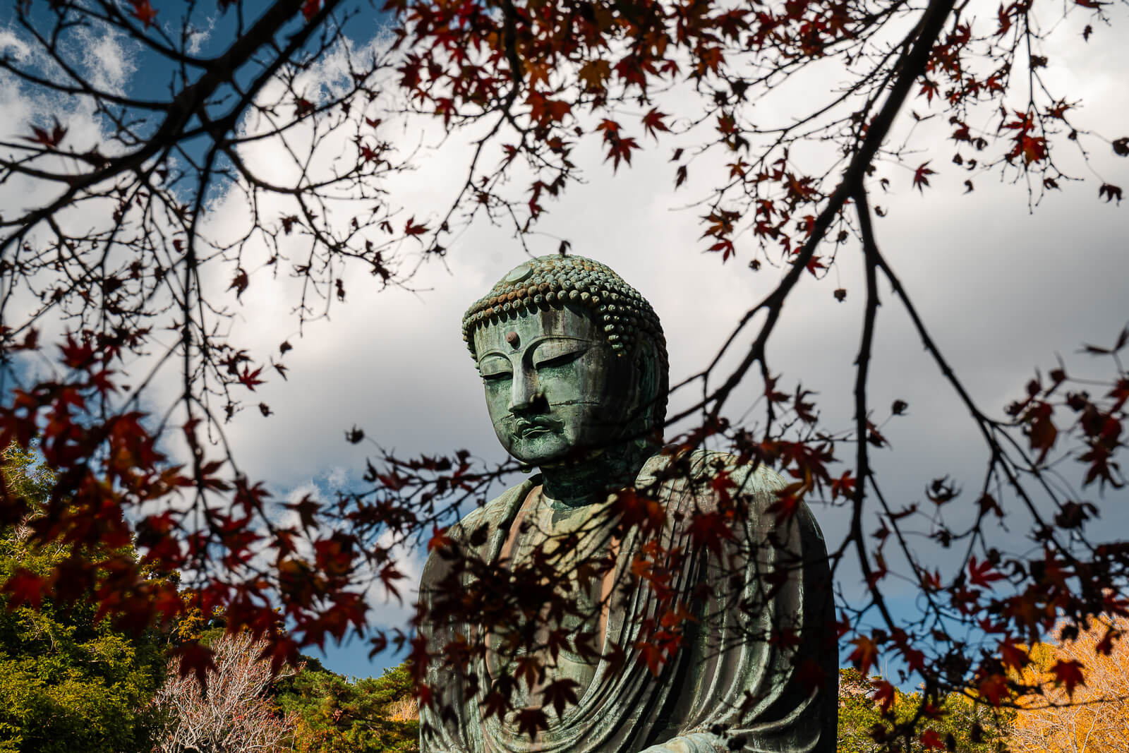 Great Buddha framed by autumn leaves at Kōtoku-in Temple