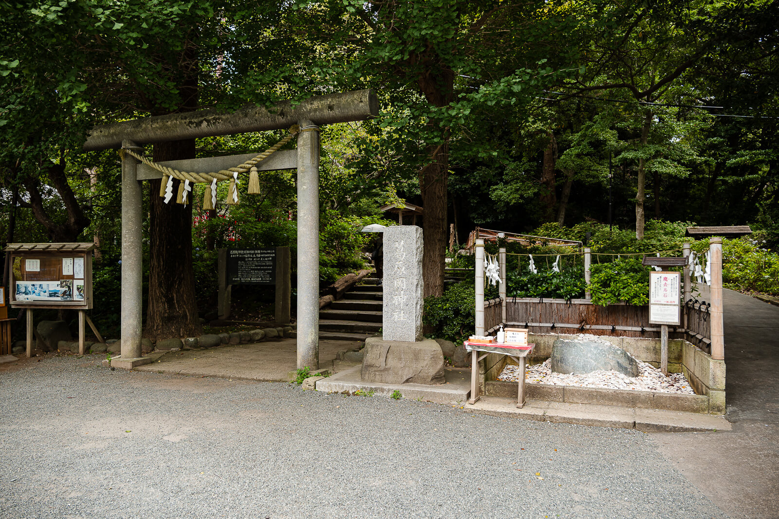 A stone torii marks the entrance to Kuzuharaoka Shrine beneath dense summer trees