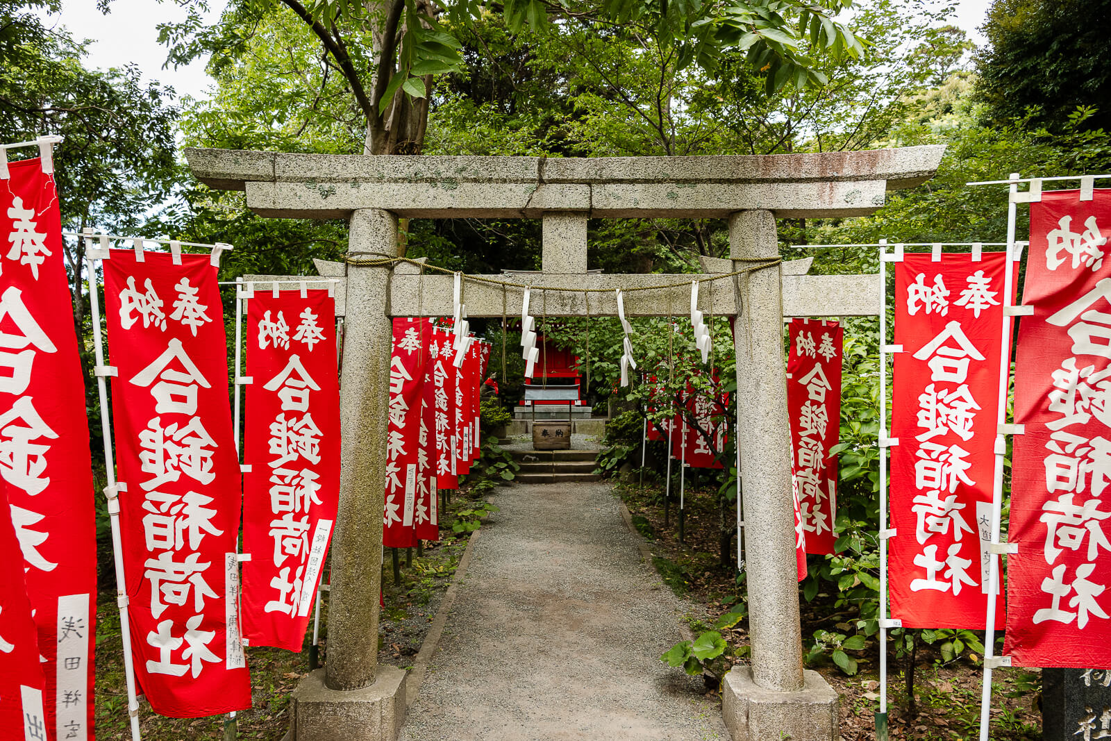Red Aizuchi Inari Shrine banners line a stone torii and narrow approach within Kuzuharaoka Shrine