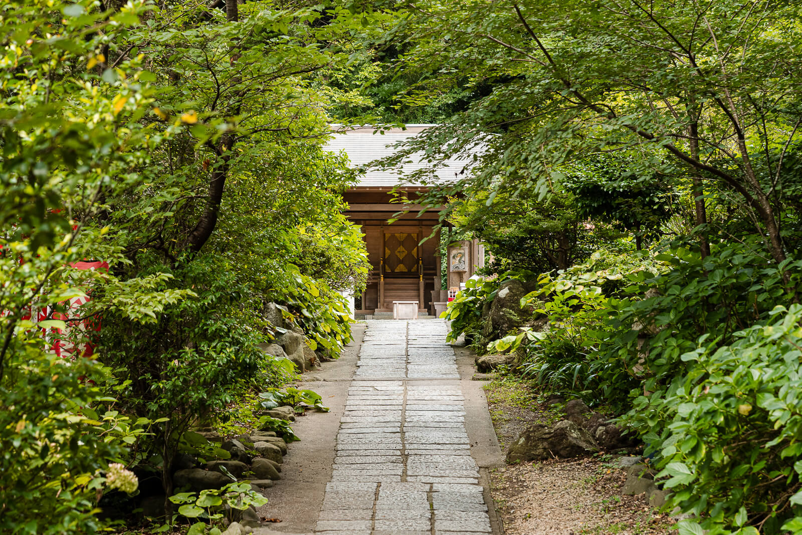 A stone path runs through dense summer greenery toward the main shrine building at Kuzuharaoka Shrine