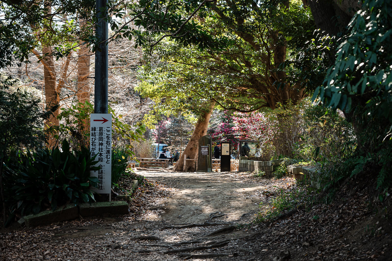 A stone path and torii mark the winter approach from the Daibutsu Hiking Course to Kuzuharaoka Shrine