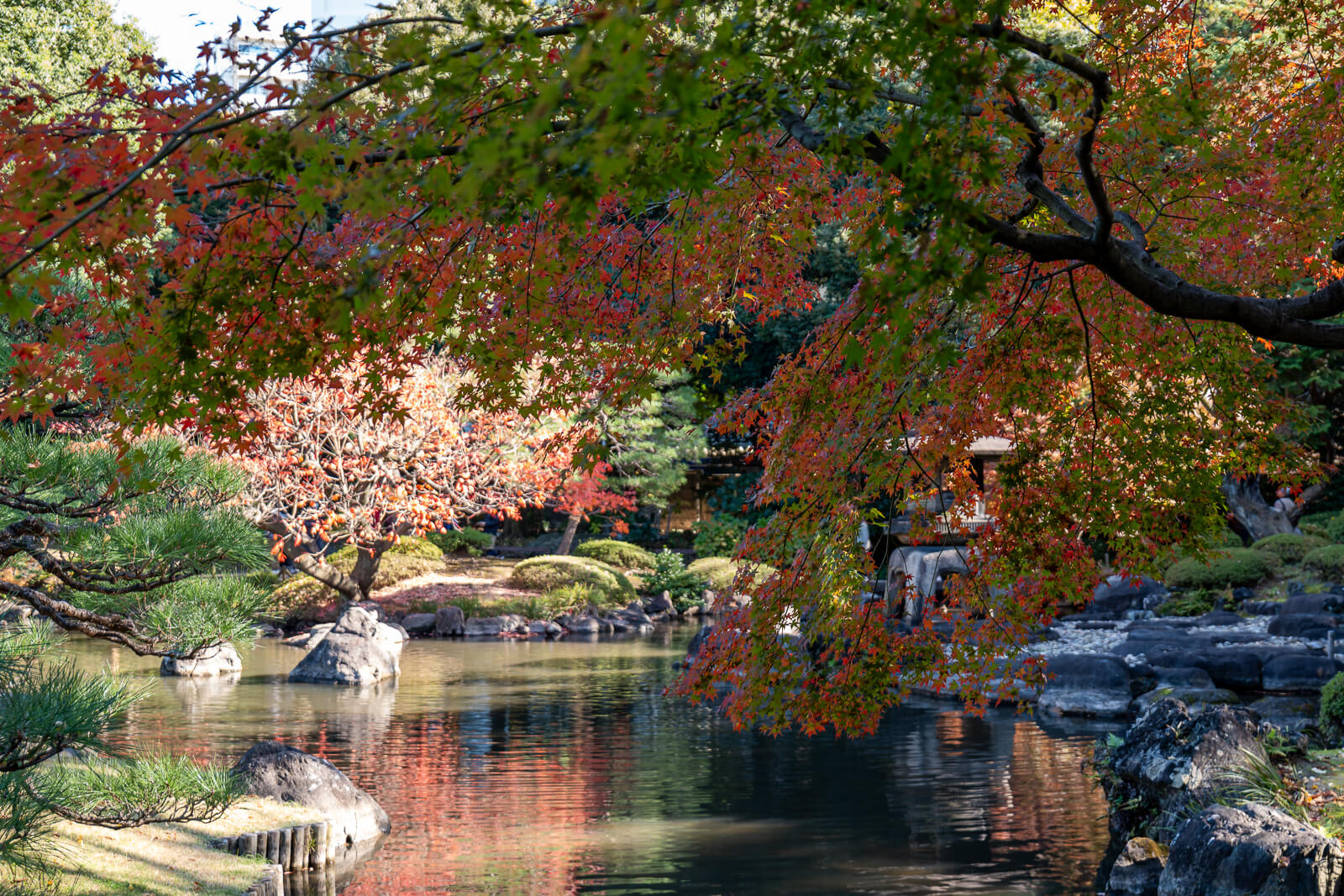 Red and orange leaves hang above a shaded path at Kyu-Furukawa Gardens, with green foliage and visitors beyond.