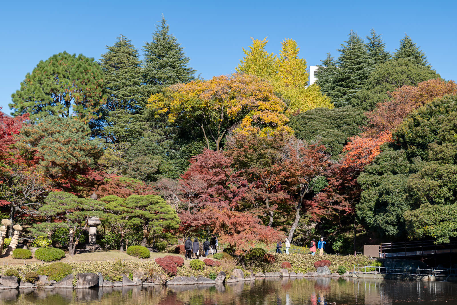 Yellow and red autumn leaves mix with green trees across a slope at Kyu-Furukawa Gardens, above the lower pond.