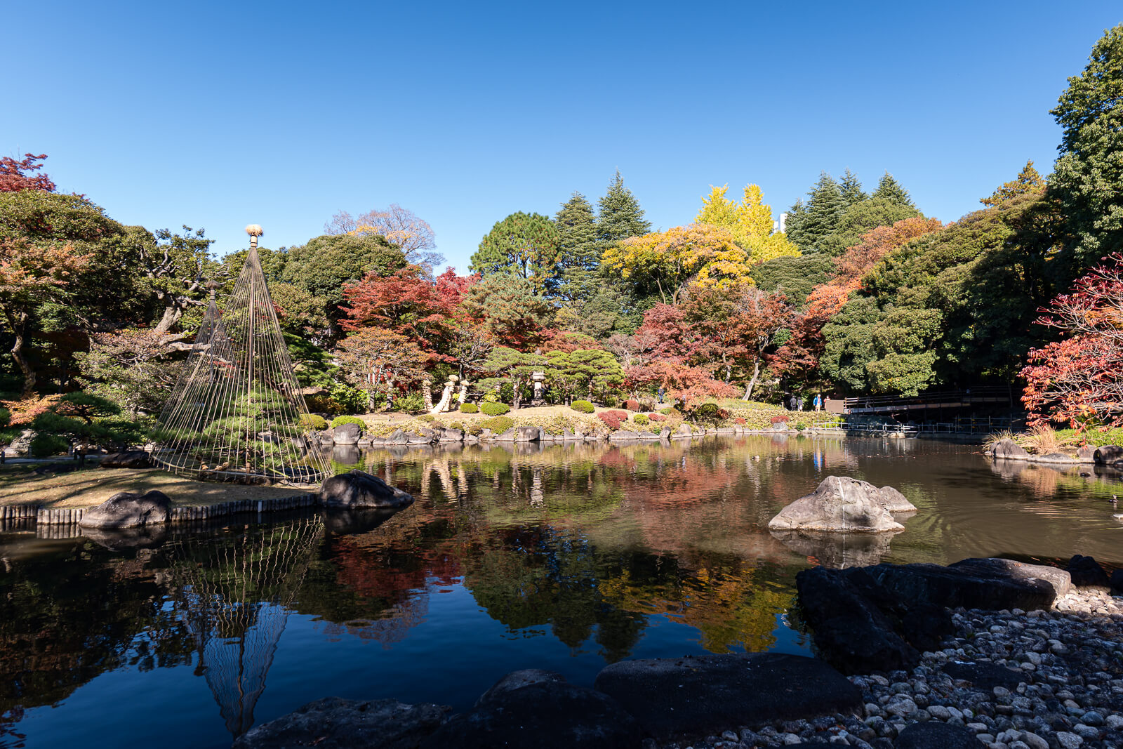 The pond at Kyu-Furukawa Gardens reflects red and yellow autumn trees, with stones and shaped pines along the shore.
